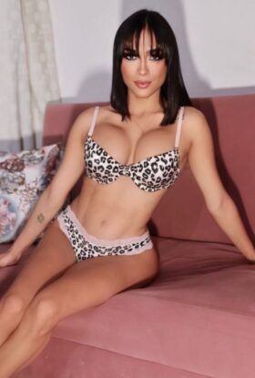 Explore Your Desires Escort Persia