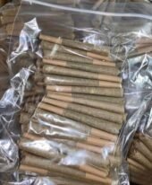 CHEMS DISPONIBLE LIVRAISON POSSIBLE PARTOUT