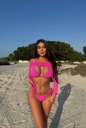 Tempting Beauty Escort Dominica